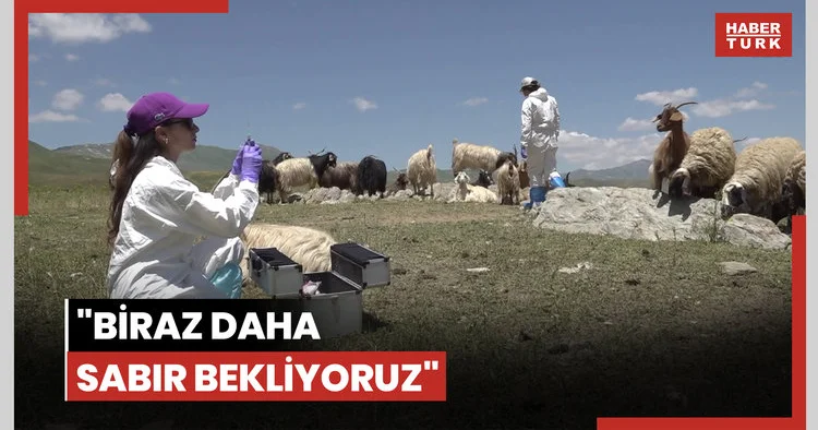 Veteriner hekimler zamanla yarışarak şap hastalığının yayılmasını önledi