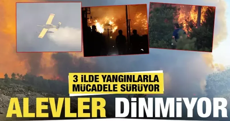 3 il alev alev yanıyor! Gözaltılar var... İşte yangınlarla ilgili son durum