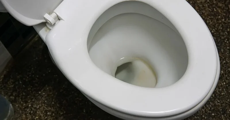 Kimse tuvaletin bu kısmının ne için olduğunu bilmiyor! Aslında çok önemli Sözcü Gazetesi