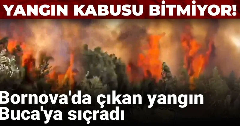 Yangın kabusu bitmiyor! Bornova da çıkan yangın Buca ya sıçradı