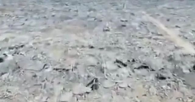 Beyt Hanun da korkunç görüntüler: İsrailliler tek bir taş bile bırakmadık diyerek paylaştı VİDEO İZLE