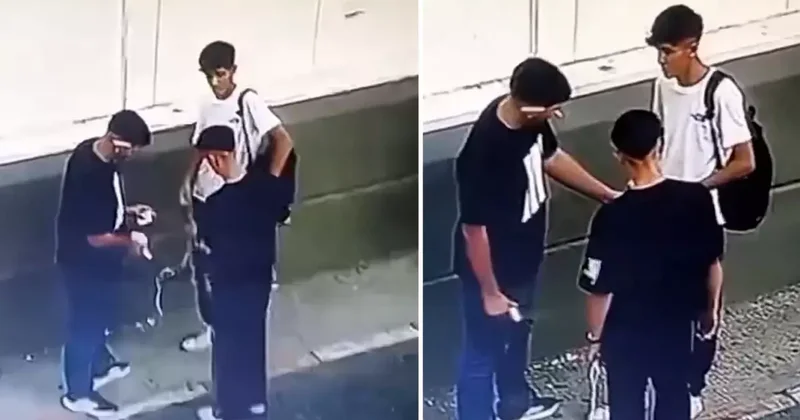 Güpegündüz yaptıklarına bakın! Görüntü Meksika dan değil Türkiye den