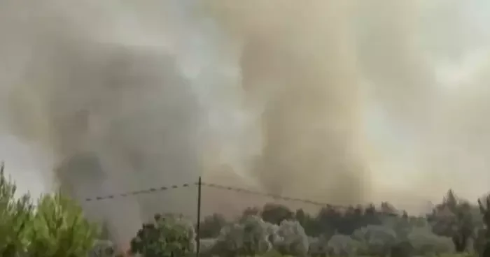 Son dakika İzmir Bornova da orman yangını! Buca ya da sıçradı, Urla da da başladı