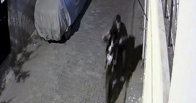 Motosiklet hırsızından gezip geri verecektim savunması Adana Haberleri