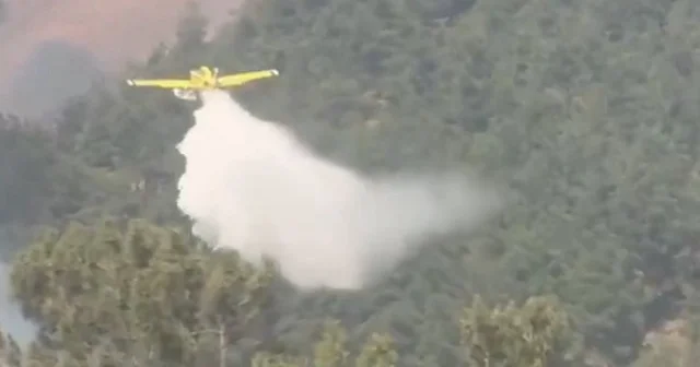 Bursa’daki yangınla mücadele sürüyor: Dört uçak aynı anda müdahale etti VİDEO İZLE