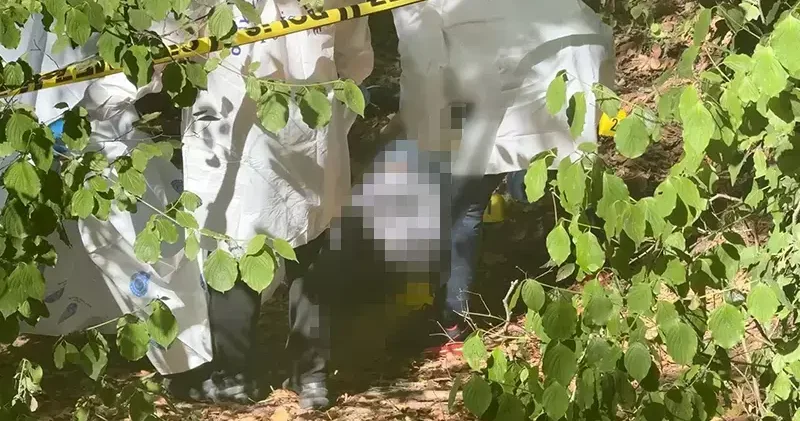 Sarıyer de ormanlık alanda başına çöp poşeti geçirilip bantlanmış erkek cesedi bulundu