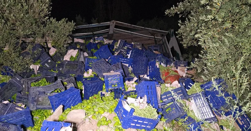 Kamyon devrildi, 10 ton biber etrafa dağıldı