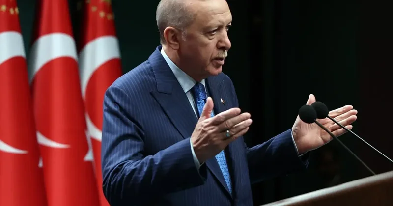 Cumhurbaşkanı Erdoğan: Orman yangınlarında sabotaj ve kasıtlar da var