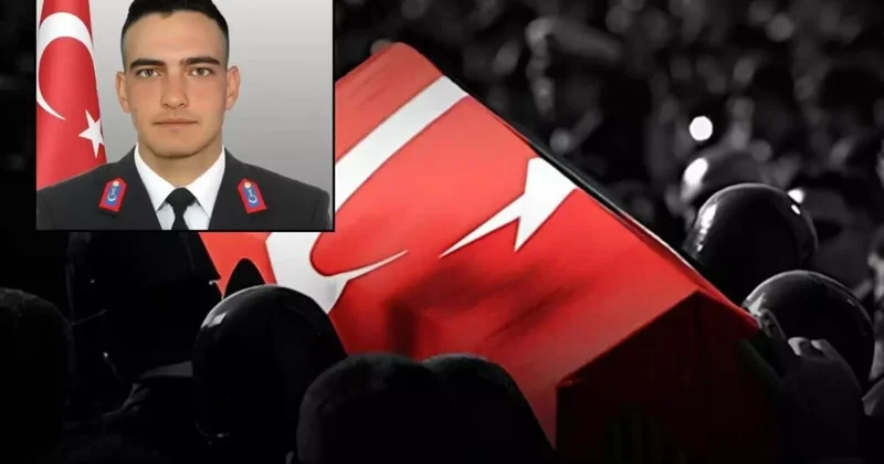 Ali Yerlikaya duyurdu! Şırnak tan kahreden haber