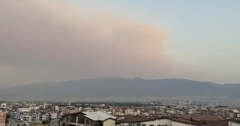 Bursa da Orman Yangını Dumanı Kent Merkezine Ulaştı