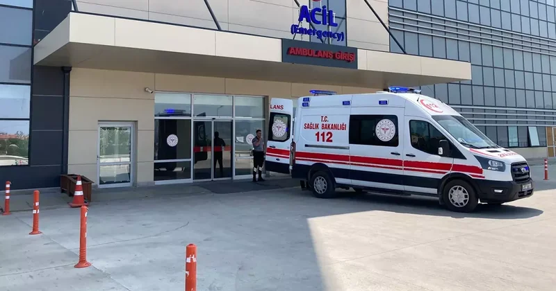 Sivas ta kene bir can daha aldı