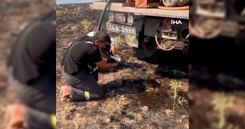 Yangından etkilenen kirpiye elleriyle su verdiler