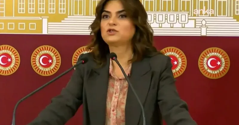 DEM Partili Koçyiğit, sürecin isminden rahatsız: Şiddetle karşı çıkıyoruz
