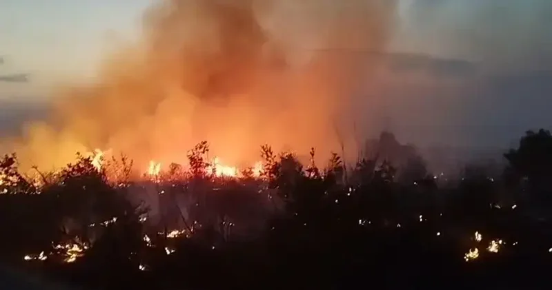 Diyarbakır’da örtü yangınına ekiplerin müdahalesi sürüyor