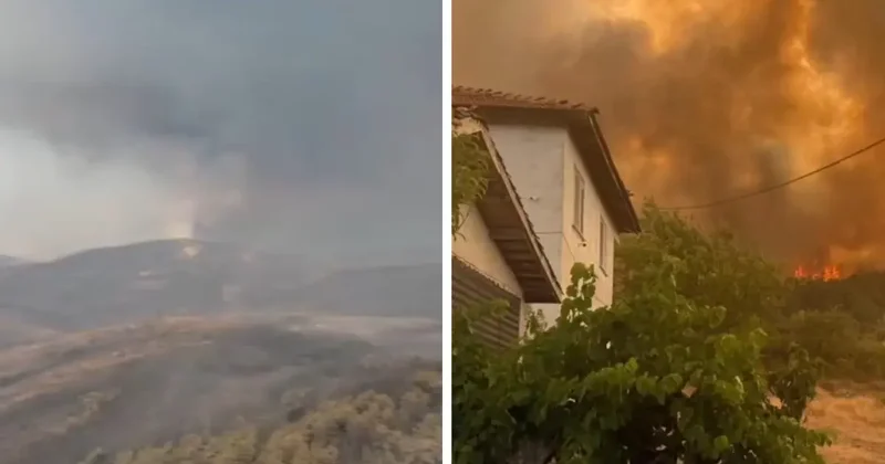 Bursa dan ürküten görüntü! Yangın anları dron kamerasına böyle yansıdı