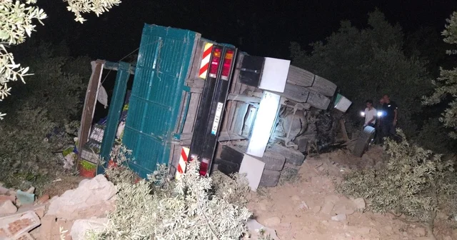 Zeytinliğe uçan biber yüklü kamyonda sıkışan sürücü yaralandı Bursa Haberleri