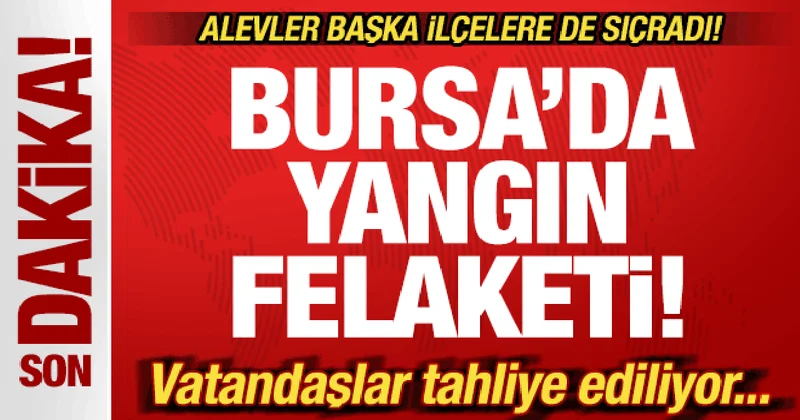 Son dakika: Bursa da yangın felaketi! Alevler sıçradı! Vatandaşlar tahliye ediliyor