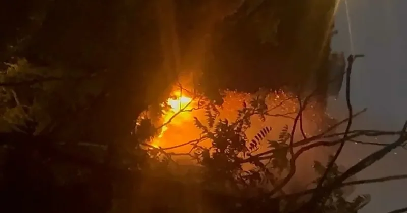 Beykoz’da ormanlık alanda yangın çıktı: Bölgeye çok sayıda ekip sevk edildi!