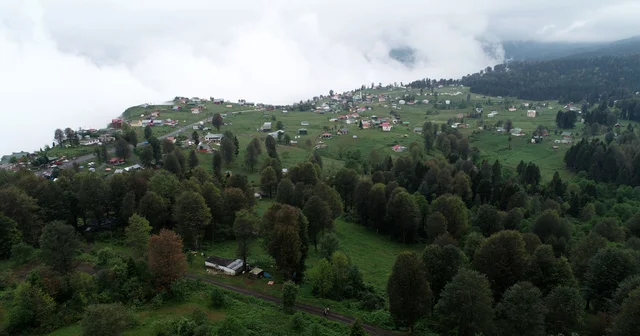 Karadeniz in yaylalarına sıcak göçü Trabzon Haberleri
