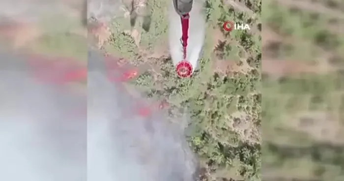 Orman Genel Müdürlüğü nden İzmir açıklaması!