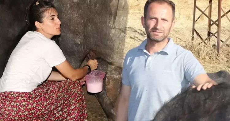 İstanbul daki yaşamlarını bırakıp köylerinde bu işe başladılar: 14 taneyle adım atıp sayıyı 41 e çıkardılar