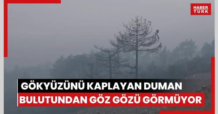 Bursa daki orman yangını 3. gününde... Gökyüzünü kaplayan duman bulutundan göz gözü görmüyor
