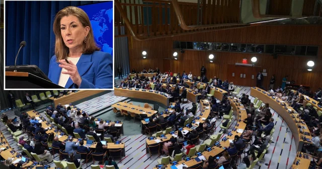 ABD BM nin Filistin için düzenlediği barışçıl konferansı reddetti Dünya Haberleri