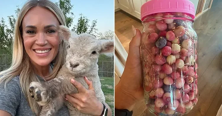 Ünlü şarkıcı huzuru çiftlik hayatında buldu… Şimdi kuzularını büyütüp turşu kuruyor!