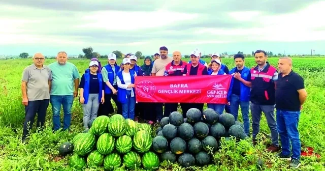Gençler tarla mesaisinde Ekonomi Haberleri