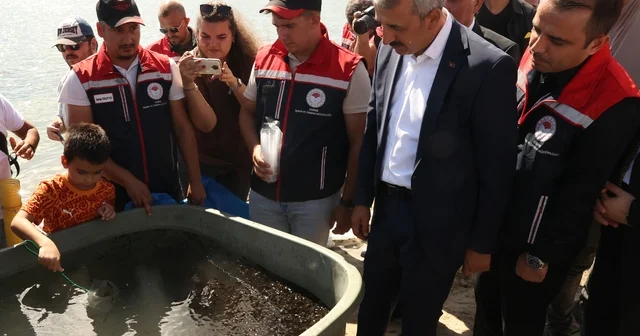 Edirne de Osmanlı köyündeki gölete 30 bin pullu sazan yavrusu bırakıldı Edirne Haberleri