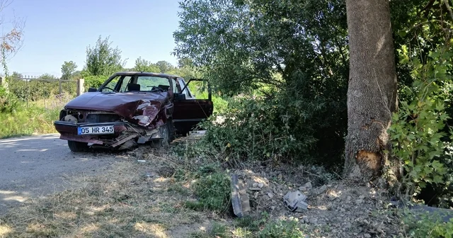 Amasya da ağaca çarpan otomobildeki 2 kişi yaralandı Amasya Haberleri