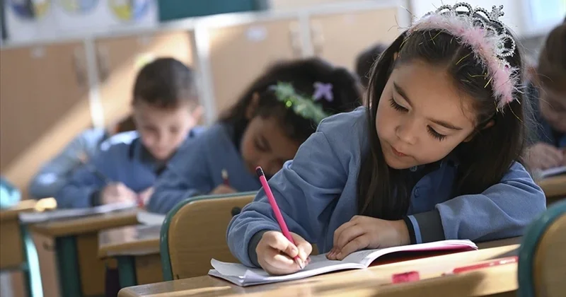 Okullarda Kürtçe bilançosu: 27 bin Kurmançi 3 bin Zazaki tercihi