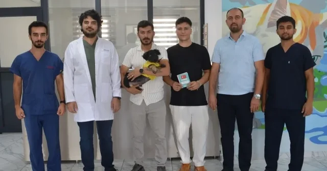 Kocaeli de zifte saplanmış halde bulunan köpek yavrusu yeni yuvasına kavuştu Hayat Haberleri