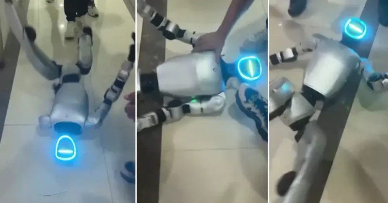 Yazılım hatası yaşayan robot, panik atak geçirdi