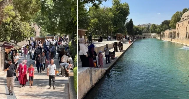 Türkiye de sıcaklığın en yüksek ölçüldüğü kentlerden: Termometreler 49 dereceyi gösterdi Şanlıurfa Haberleri