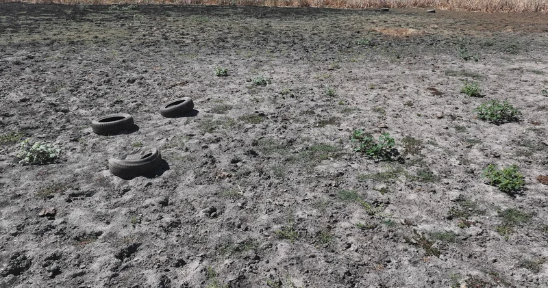 Edirne yi kuraklık vurdu! Yağcılı Göleti kurudu