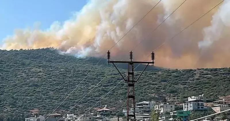 Hatay’da Habib i Neccar Dağı’nda orman yangını