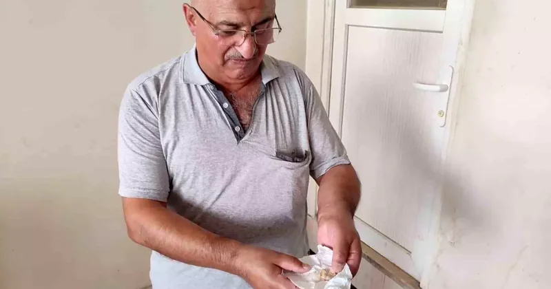 Ekmekten öyle bir şey çıktı ki! Neredeyse dişini kaybedecekti