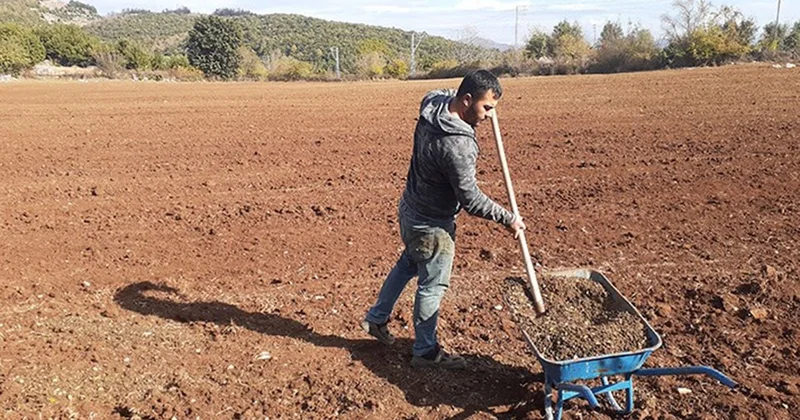 Grev Cengiz’e yaradı, gübreye zam yağdırdı Sözcü Gazetesi