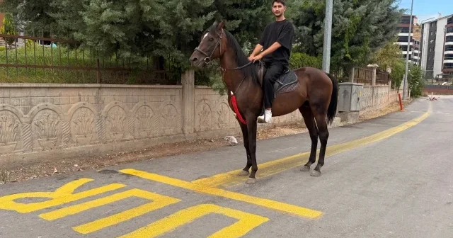 Sürücü adayı ehliyet sınavından kalınca parkuru atla geçti VİDEO İZLE
