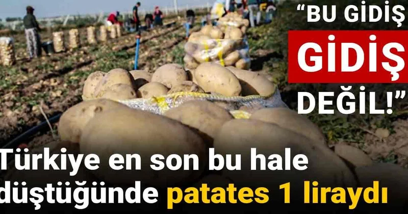 Türkiye en son bu hale düştüğünde patates 1 liraydı: Bu gidiş gidiş değil!