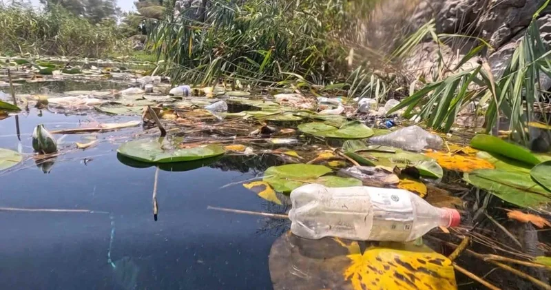 Antalya da utandıran manzara: Şişeler, plastikler, poşetler…