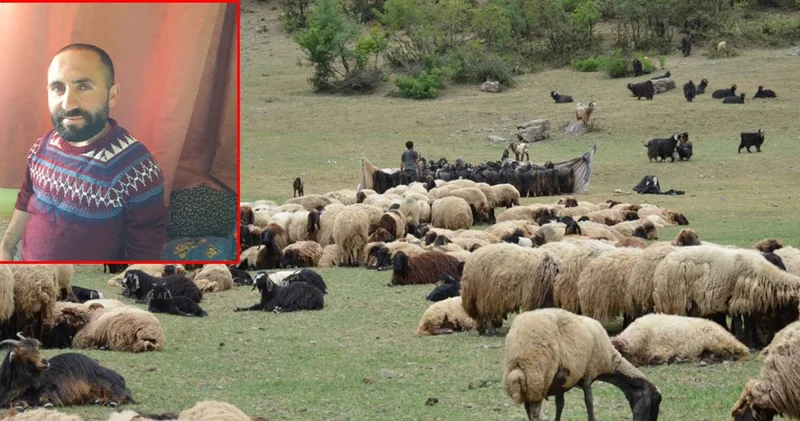 Çobanların hayvan otlatma kavgası kanlı bitti
