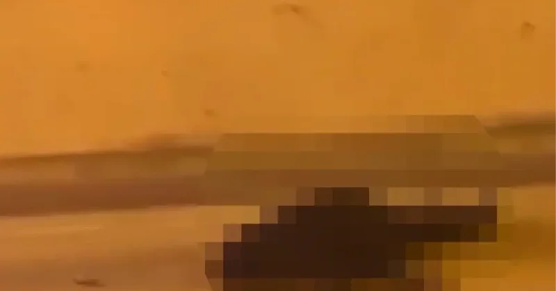 Akrabalarını önce silahla vurdu sonra yerde tekmeledi! Hepsi suç makinesi çıktı