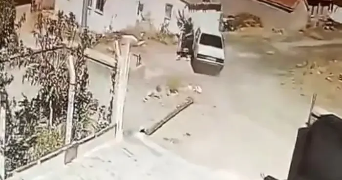Seyir halindeki araçta yılan paniği kamerada: Sürücü araç durmadan indi