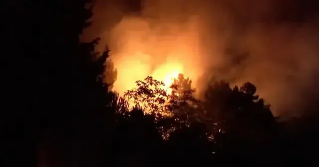 Beykoz’da ormanlık alanda korkutan yangın VİDEO İZLE
