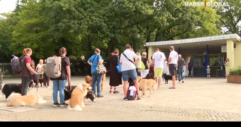 Köpeklere turist vergisi: İtalya da evcil hayvanla tatil daha pahalı olacak