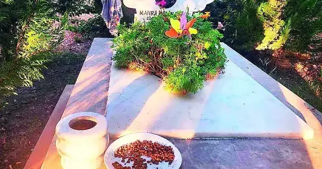 Mezarına köpek maması bıraktılar Gündem Haberleri