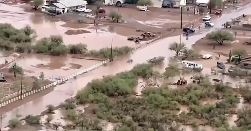 Arizona da şiddetli yağışların yol açtığı sellerde 4 kişi öldü Sözcü Gazetesi