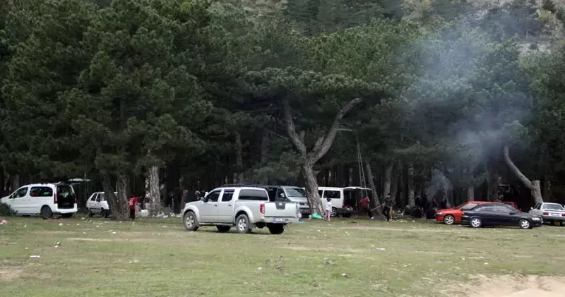 Eskişehir ve Afyonkarahisar’da ormanlara girişler 15 Haziran dan itibaren yasak